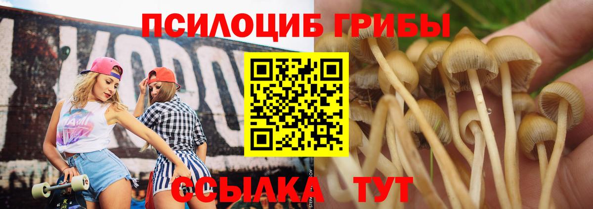 Псилоцибиновые грибы мухоморы  Вход с VPN  Туапсе 